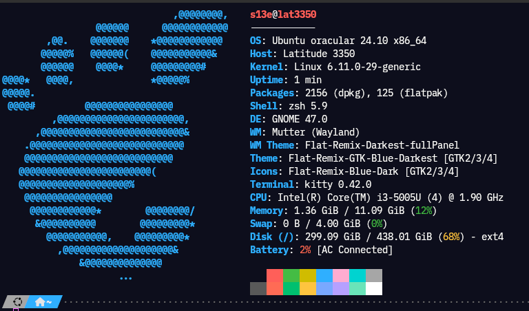 Screenshot of Kitty terminal fastfetch output